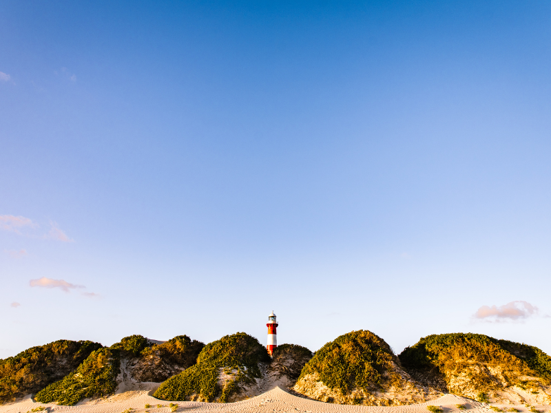 Perth - Kalbarri - Monkey Mia - Geraldton - Perth   — 11